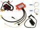 Yamaha YFM350 Big-Bear Moto4 igniter ignition module CDI TCI Box set (1YW-21)