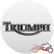 Triumph Daytona 955i Tuning