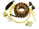 Stator - CARG521