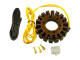 Stator - CARG731